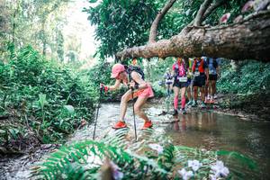 BIB: 
                            <button type="button" onclick="openModal(25454015)" class="btn btn-primary btn-sm float-right btn-popup" data-toggle="modal" data-target=".modal-high-quality">
                        <i class="fas fa-shopping-cart"></i> Add to Cart
                    </button>
                                            <button type="button" onclick="isThisMe(25454015, true)" class="btn btn-success btn-sm float-right btn-popup btn-isme hidden" data-toggle="tooltip" data-placement="bottom" title="นี่คือรูปของคุณใช่ไหม คลิกที่นี่เพื่อเอาเข้าอัลบั้ม">
                        <i class="fas fa-plus"></i> Add to album
                    </button>
                    <button type="button" onclick="isThisMe(25454015, false)" class="btn btn-warning btn-sm float-right btn-popup btn-isnotme hidden">
                        <i class="fas fa-ban"></i> Remove from album
                    </button>